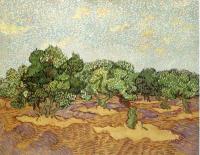 Gogh, Vincent van - Olive Grove, Pale Blue Sky